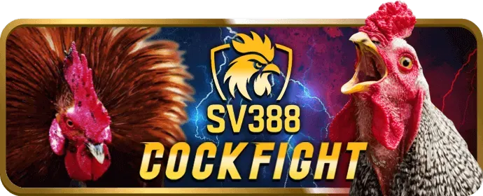 Câu hỏi thường gặp vipbet